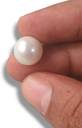Original Pearl (Moti) – Natural Moon Stone for Peace & Elegance