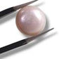 Original Pearl (Moti) – Natural Moon Stone for Peace & Elegance
